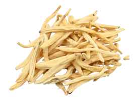 Safed Musli